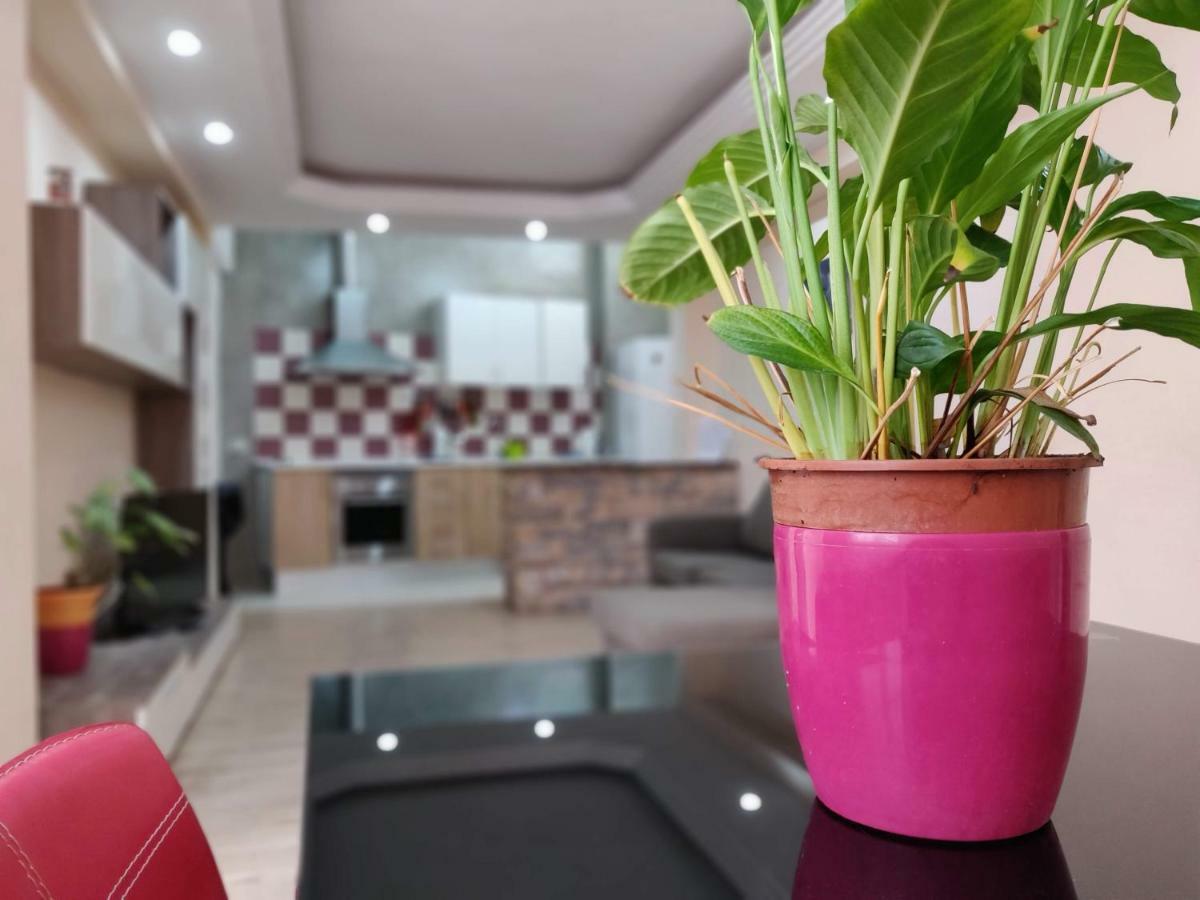 Cactus Los Cristianos Villa Los Cristianos  Ngoại thất bức ảnh